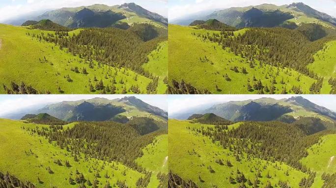 罗马尼亚，中喀尔巴阡山脉的Ciucas山脉的高山草甸上散布着枞树，背景为高峰，阳光明媚的夏日，鸟瞰图