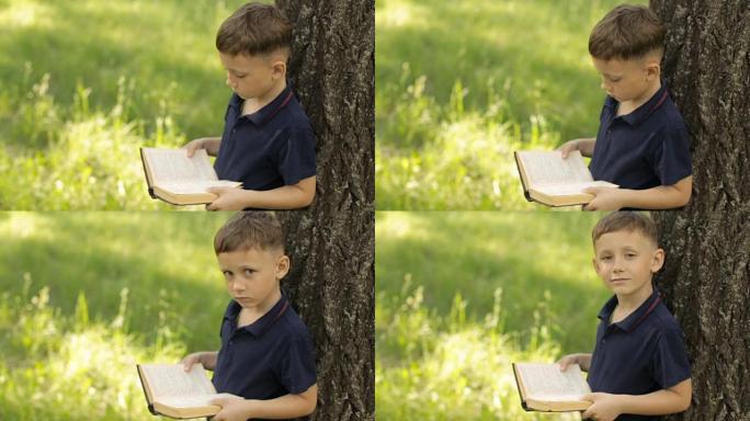 一个男孩正站在一棵树旁看书