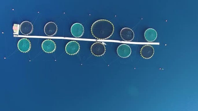 在克罗地亚的海鱼农场上空飞行