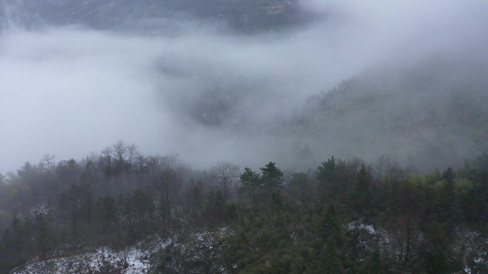 林中云雾 山 雾 森林 大雾