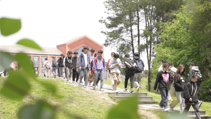 大学生风采大学校园大学生行走在上课路上读