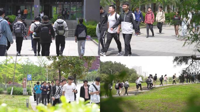 大学生风采大学校园大学生行走在上课路上读