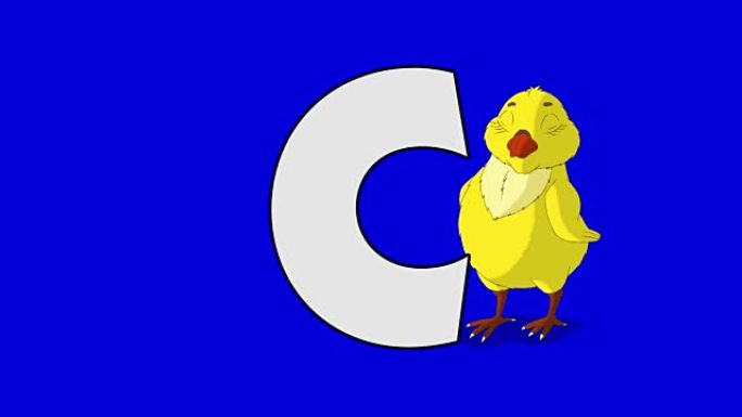 字母C和鸡肉 (背景)