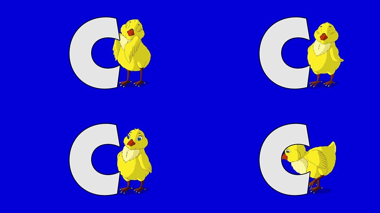 字母C和鸡肉 (背景)