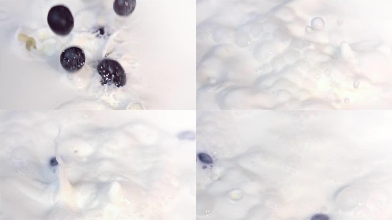 蓝莓以真实的慢动作掉入牛奶中的视频