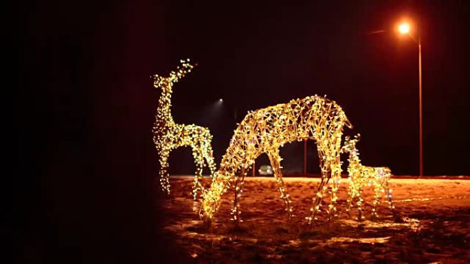 鹿家族明亮的圣诞节照明