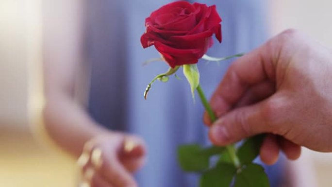 男人给女人一朵红玫瑰