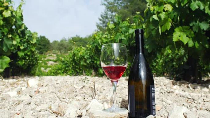 在一个阳光明媚的日子，葡萄种植园里的一杯红酒