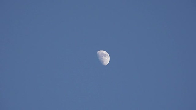白天的半月形