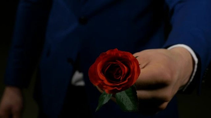 男孩拿出一朵玫瑰作为情人的情人节礼物