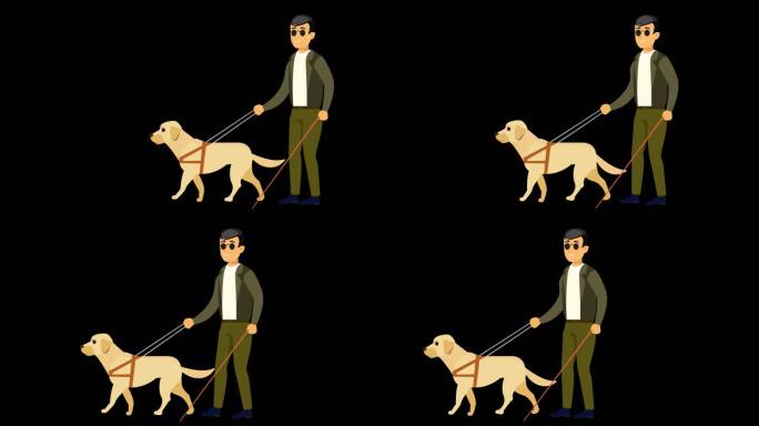 盲人导盲犬mg透明视频