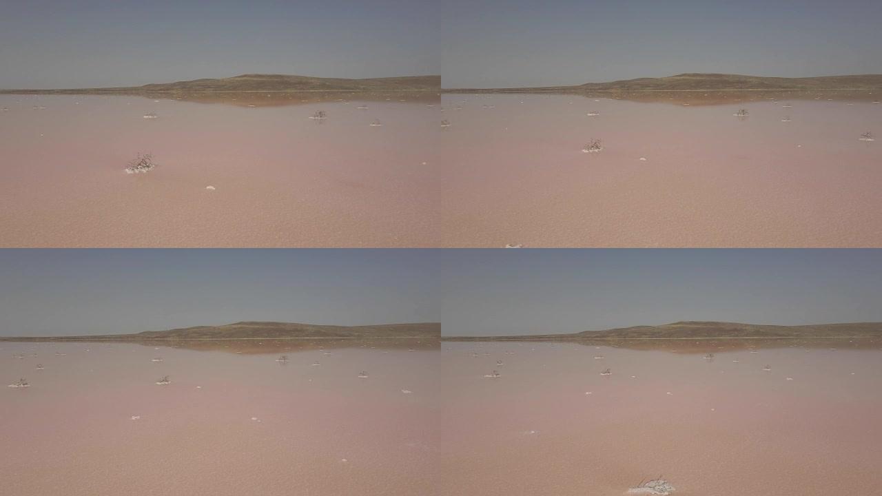 粉红色浮游生物颜色的盐湖水蒸发池的鸟瞰图