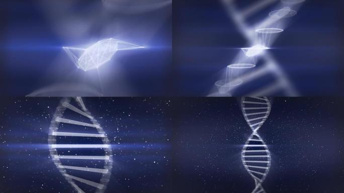 向内看人类的DNA化妆并缩小以显示螺旋扭曲的形状