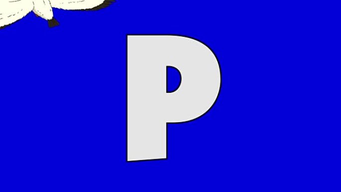 字母P和鹈鹕 (背景)
