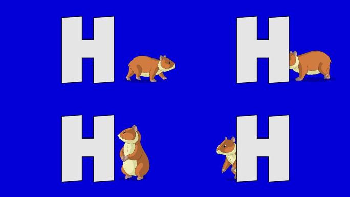 字母H和仓鼠 (背景)