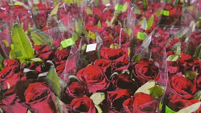 准备在花店出售的分类玫瑰