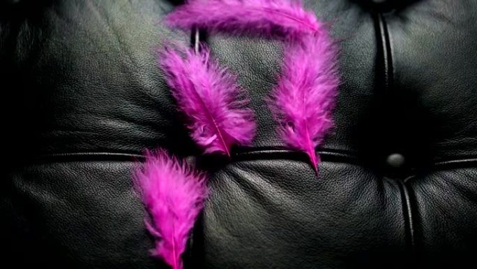 黑色皮沙发上的粉红色羽毛被吹走