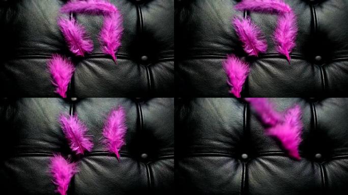 黑色皮沙发上的粉红色羽毛被吹走