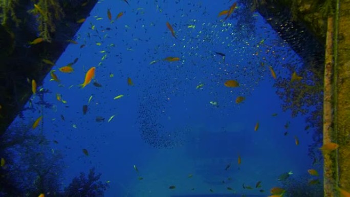 红海水下沉船事故