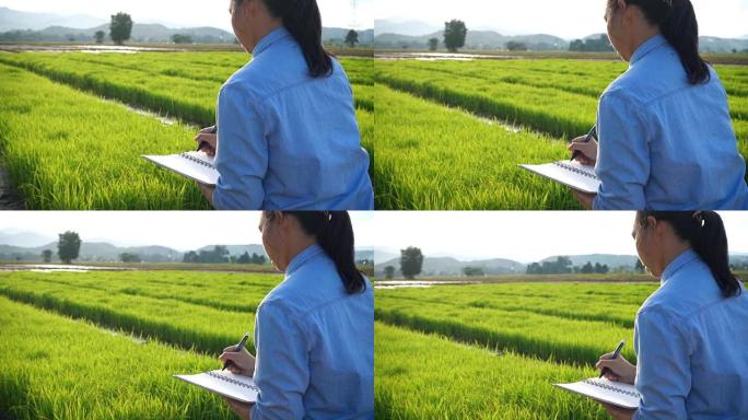 亚洲农民的特写是农业领域的成果