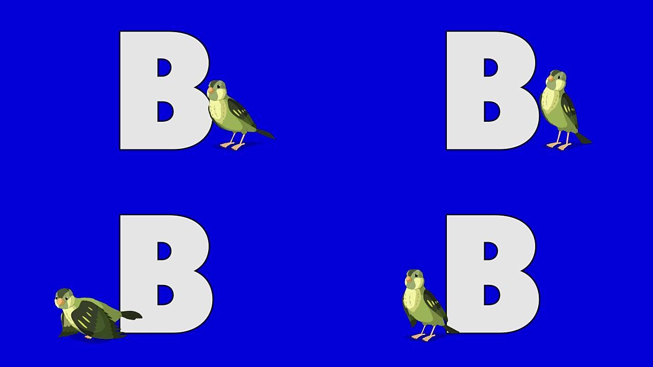 字母B和Bird (前景)