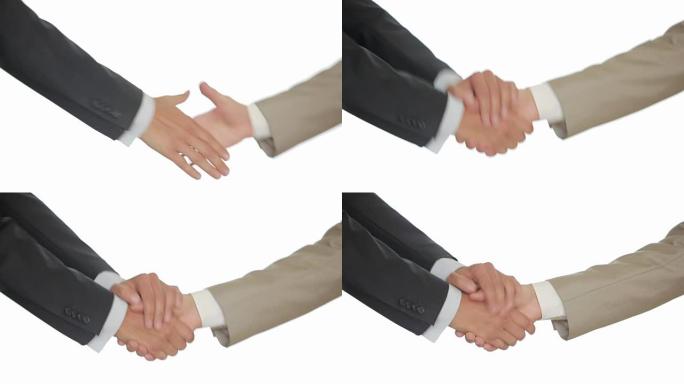 一场白底商务握手，两人握手