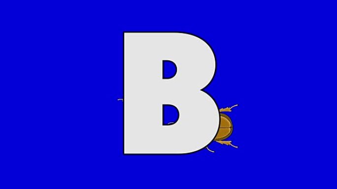 字母B和甲虫 (背景)