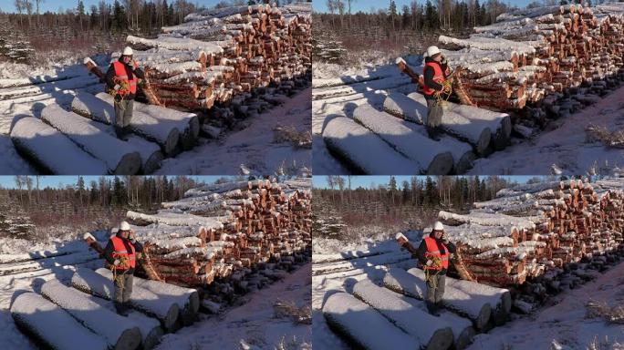 伐木工人在冬天在一堆原木附近的智能手机上聊天