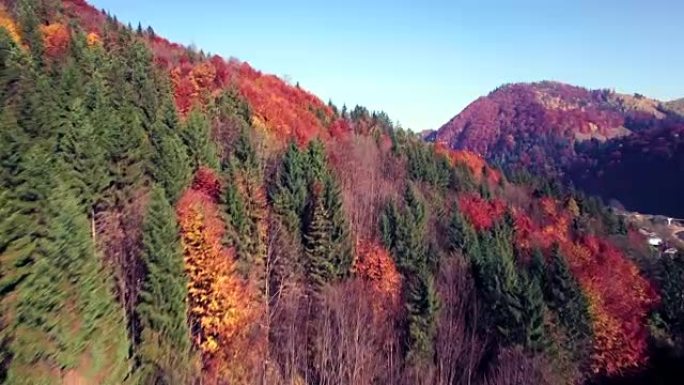 秋天喀尔巴阡山脉的鸟瞰图