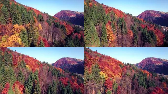 秋天喀尔巴阡山脉的鸟瞰图