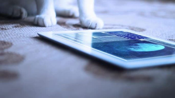 科幻小说未来派猫看着平板电脑上的酷通用技术屏幕