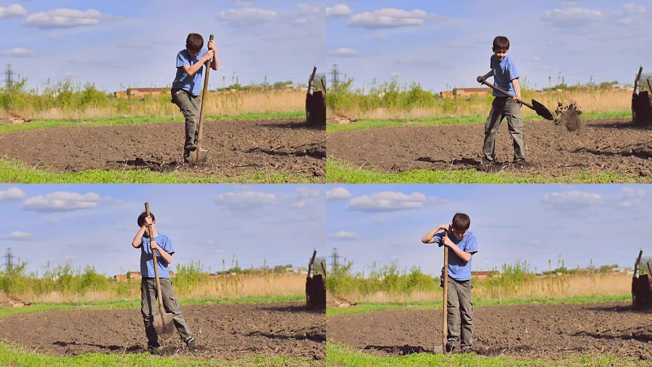 农夫男孩疲倦地在干燥的地面上挖旧的脏铲视频慢动作