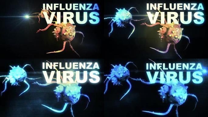流感病毒细胞图示