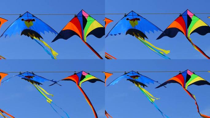 抽筋形状的风筝 -- 鱼在天空中飞翔