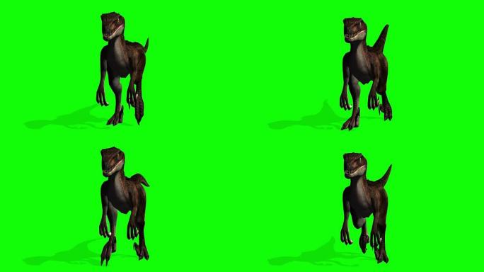 迅猛龙恐龙行走-绿色屏幕