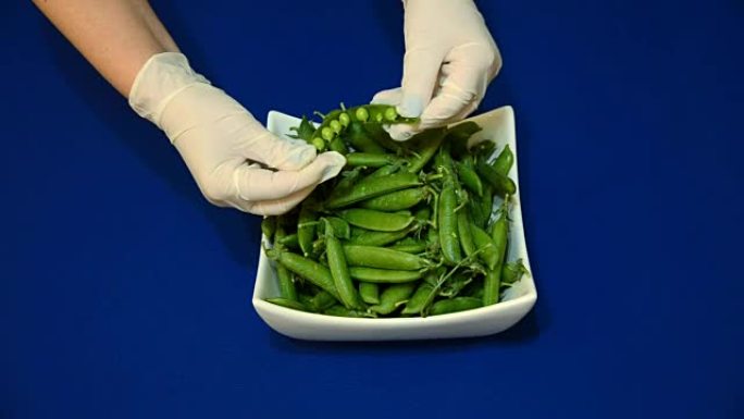 蓝色背景上白色菜肴中的新鲜绿豌豆。