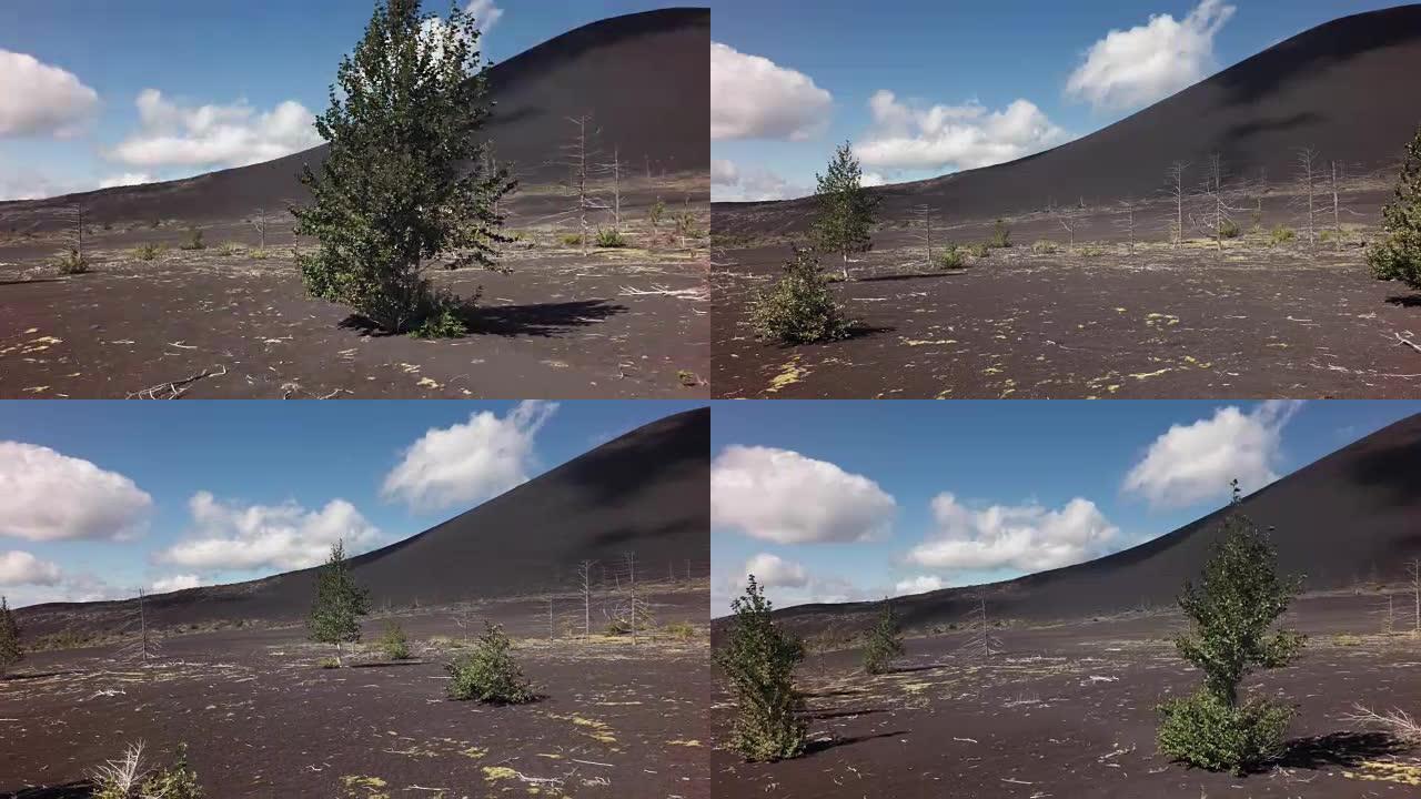 枯木-火山爆发期间火山灰的灾难性释放的后果1975年Tolbachik north突破库存录像