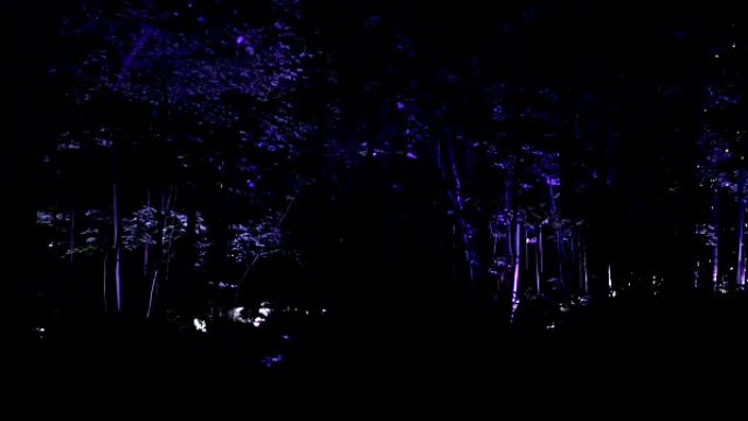 花园中装饰夜光树