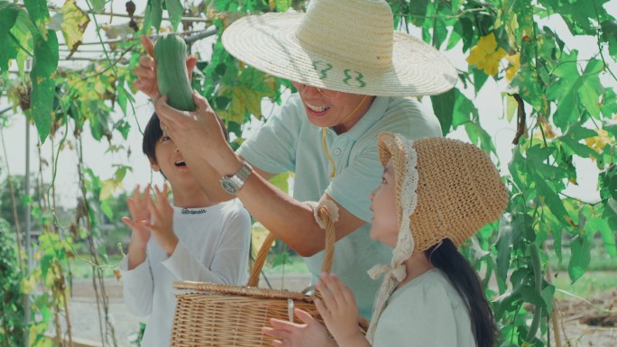 田园生活爷爷牵着孙子孙女小时候田园风光