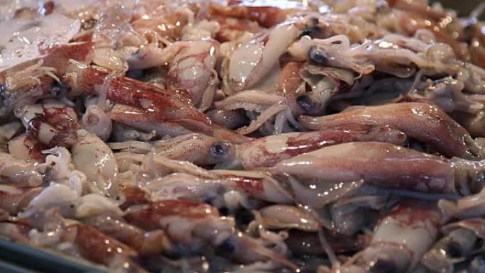 泰国当地市场出售许多小鲜鱿鱼