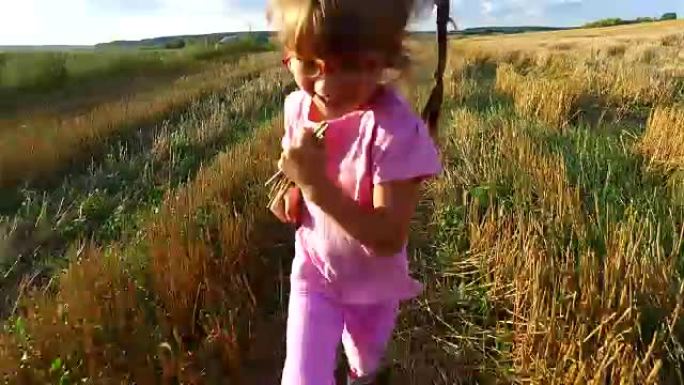 女孩在田野里奔跑。在田间，麦收已经收割了。带有steadicam的相机在小女孩之后移动