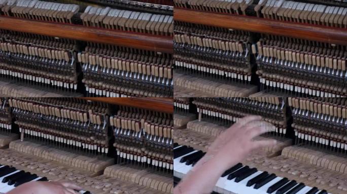 两只手在一架漂亮的三角钢琴上弹奏温柔的曲子。使用浅景深记录反射。高清