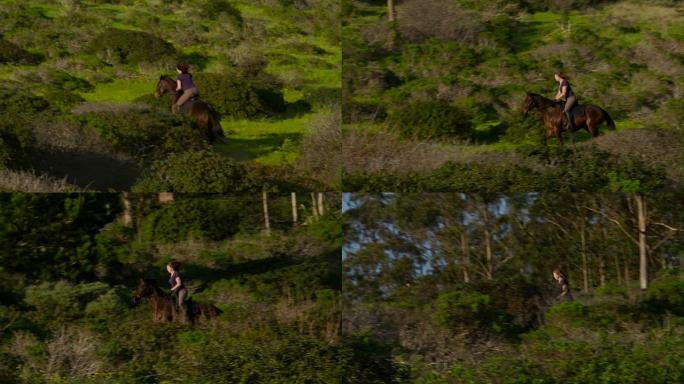 成年马术女子骑着英式骑马在绿色的山路上慢跑，红尾鹰在她的长镜头慢动作金色小时光标3 4_4前飞舞