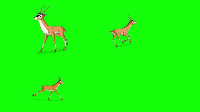瞪羚奔跑。孤立在绿色屏幕上的动画运动图形