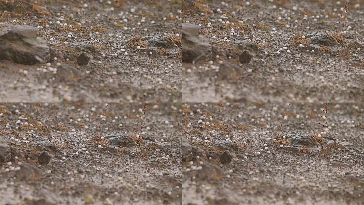 大冰雹暴雨