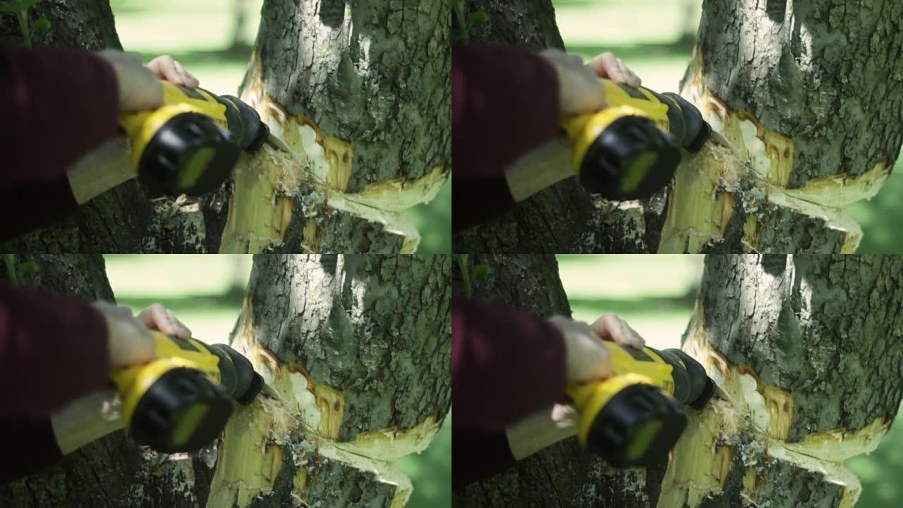 男子用黄色往复锯砍倒树干
