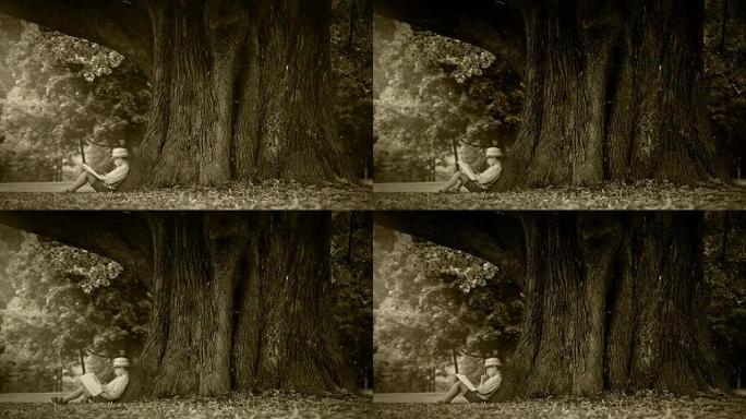 旧电影效果镜头: 小男孩坐在树下看书