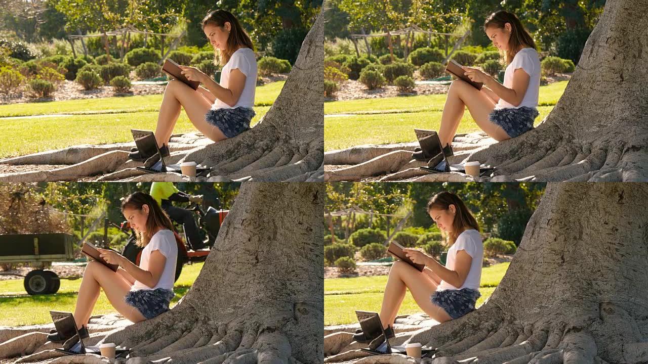 学院派大学生女生坐在公园的树上看书学习