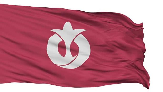 爱知县孤立挥舞旗帜