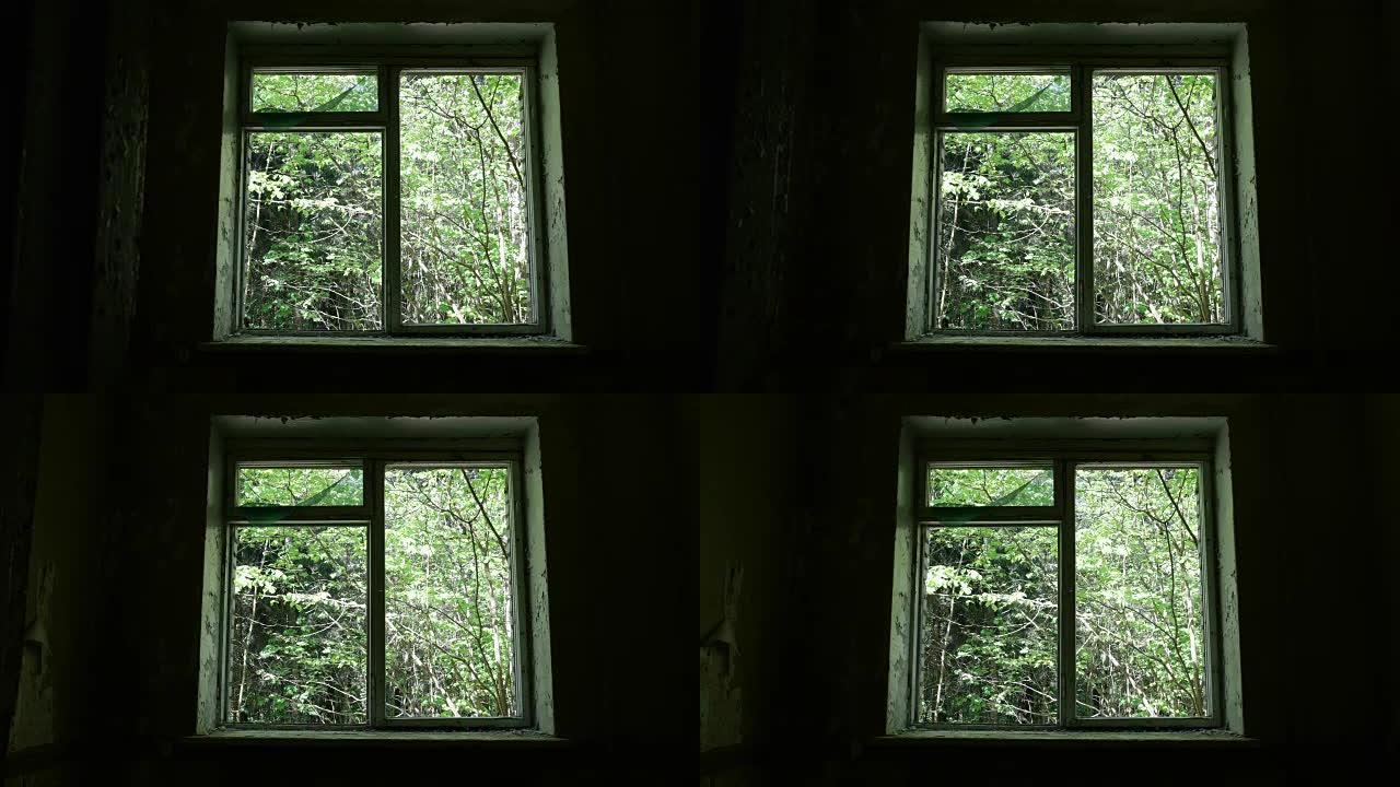 废弃房子的窗户。平稳缓慢的多莉射击。